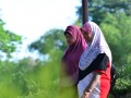 Tn DSC 1772
